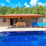 Villa Havuzu Korunakli Jakuzili *